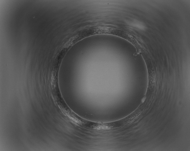 X0000084010759200702232204