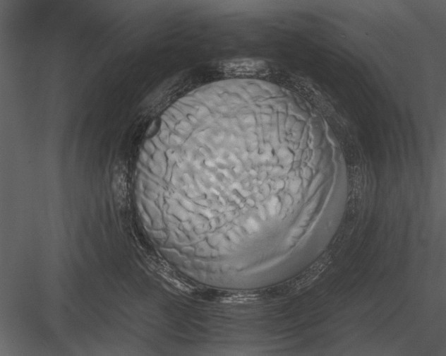 X0000084010761200702232204