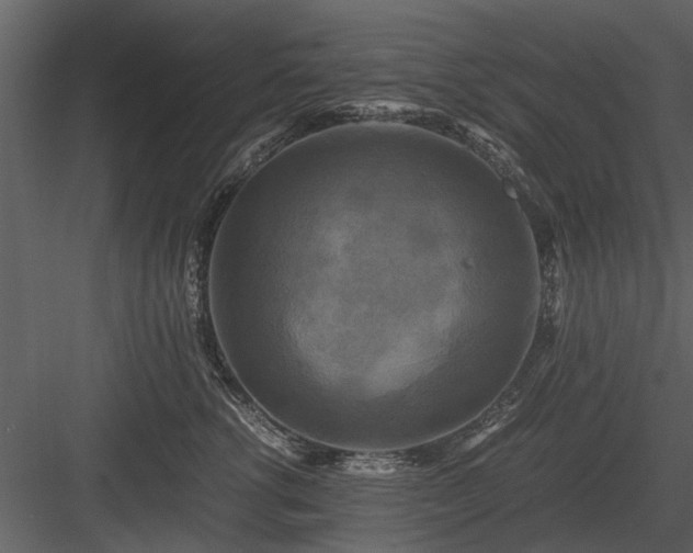 X0000084010762200702232204