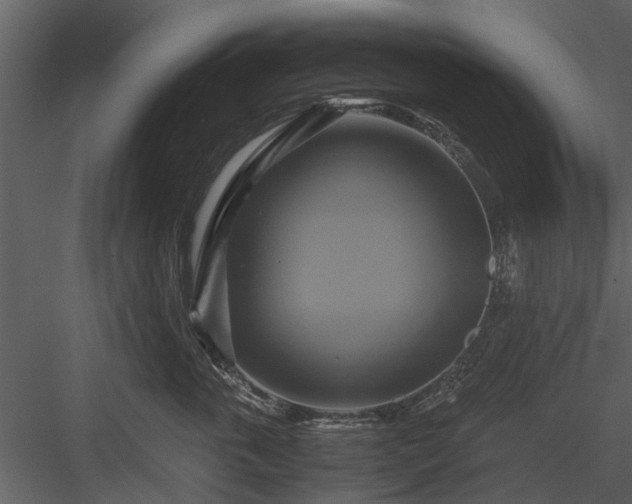 X0000084010763200702232204