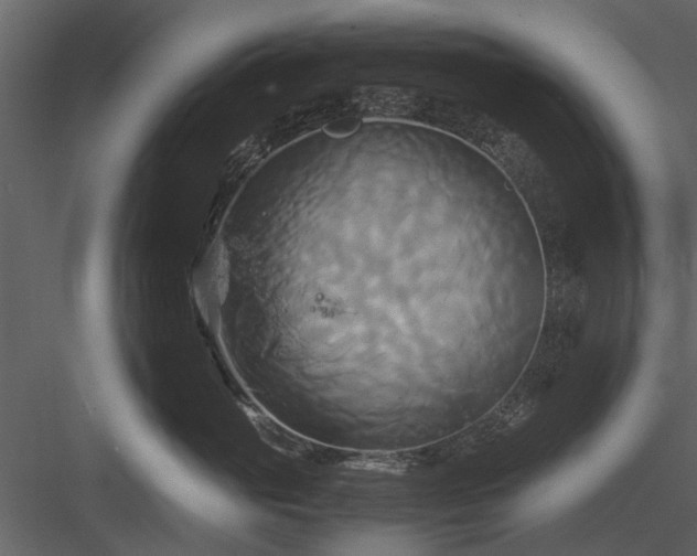 X0000084010765200702232204