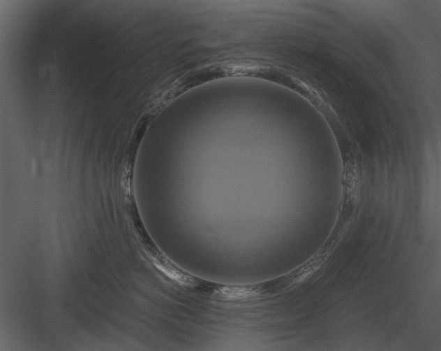 X0000084010766200702232204