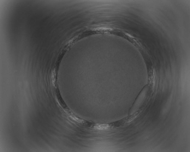 X0000084010767200702232204