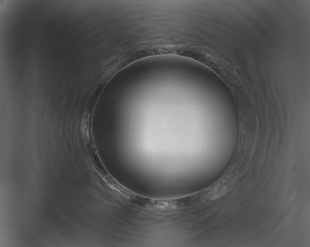 X0000084010768200702232204