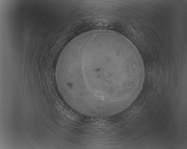 X0000084010769200702232203