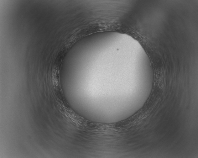 X0000084010770200702232203