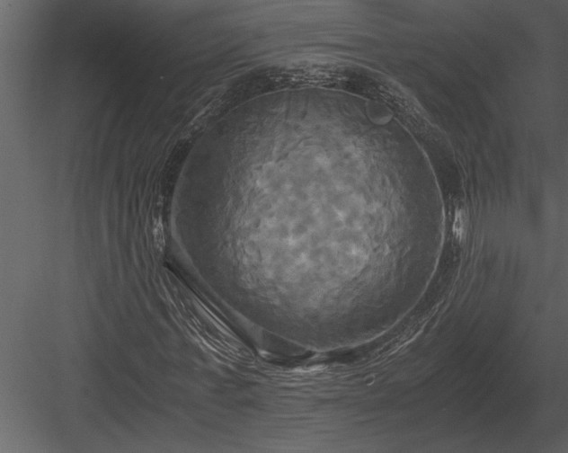 X0000084010771200702232203