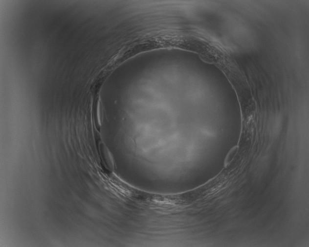 X0000084010772200702232203