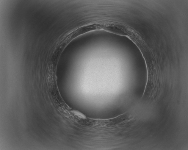 X0000084010773200702232203