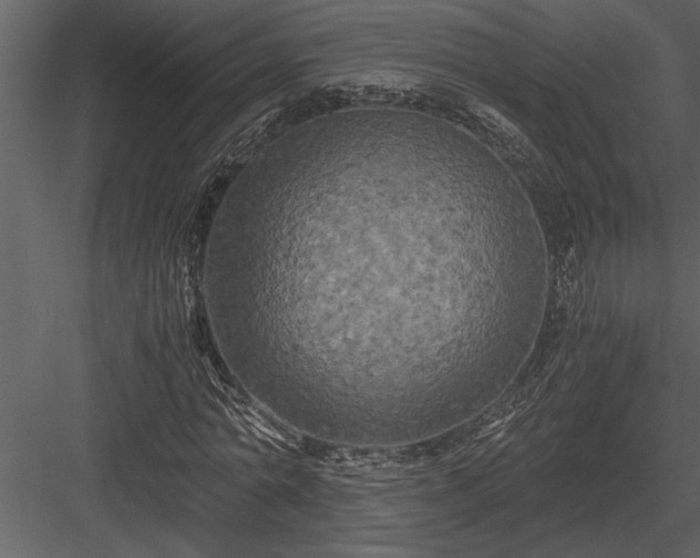 X0000084010774200702232203