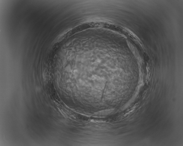 X0000084010775200702232203