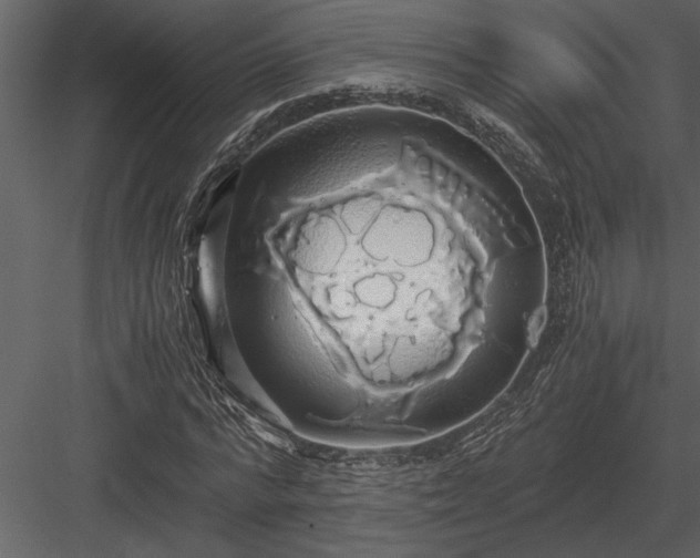 X0000084010776200702232203