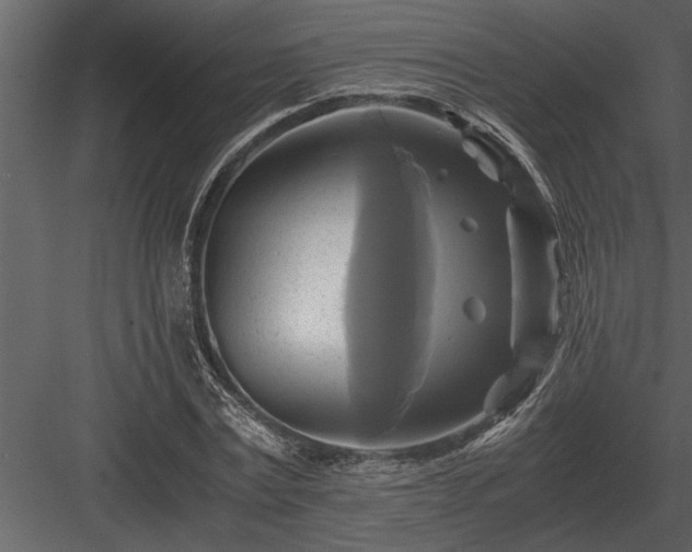 X0000084010779200702232203