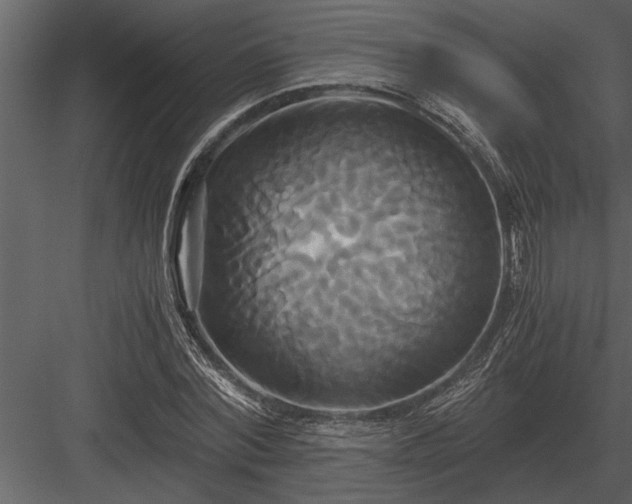 X0000084010780200702232203