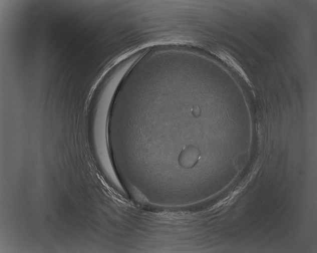 X0000084010781200702232203