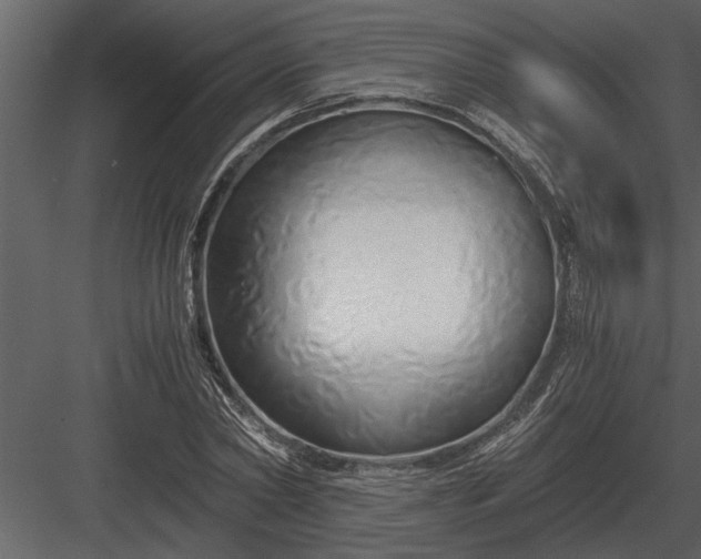 X0000084010782200702232203