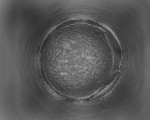 X0000084010783200702232203