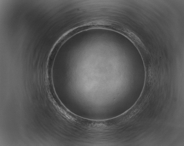 X0000084010784200702232203