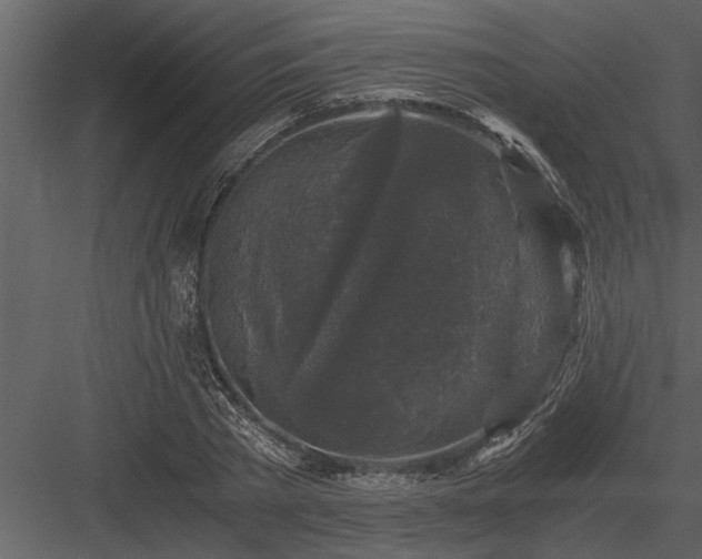 X0000084010785200702232203