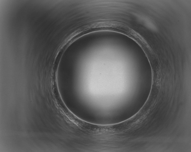 X0000084010786200702232203