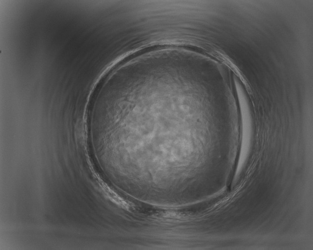 X0000084010787200702232203