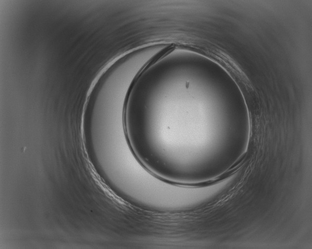 X0000084010788200702232203