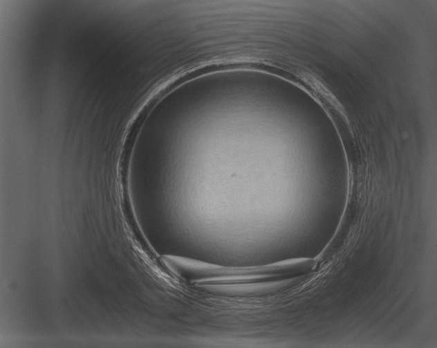 X0000084010789200702232203