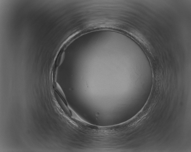 X0000084010790200702232203