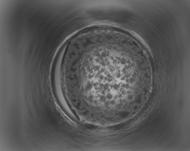 X0000084010791200702232203