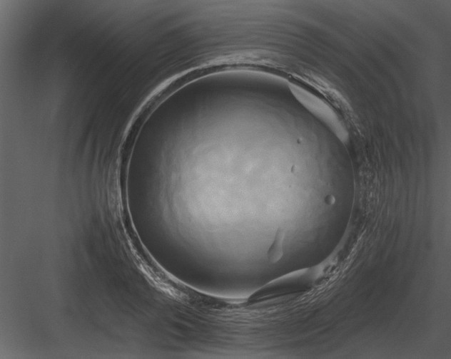 X0000084010792200702232203