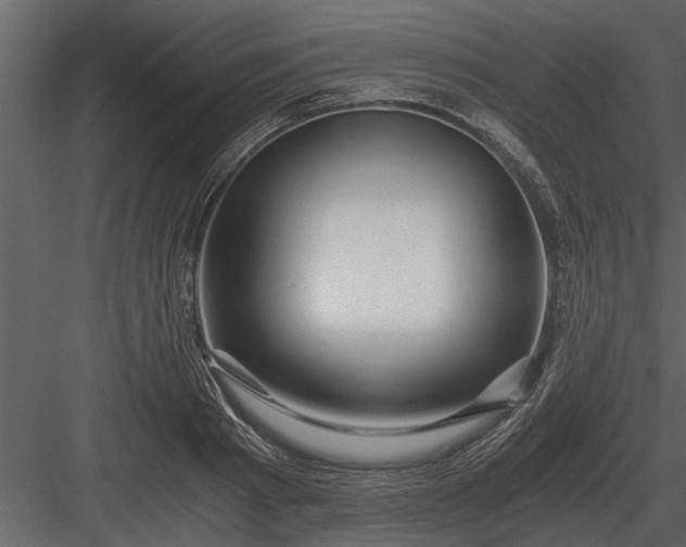 X0000084010793200702232203