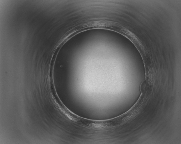 X0000084010794200702232203