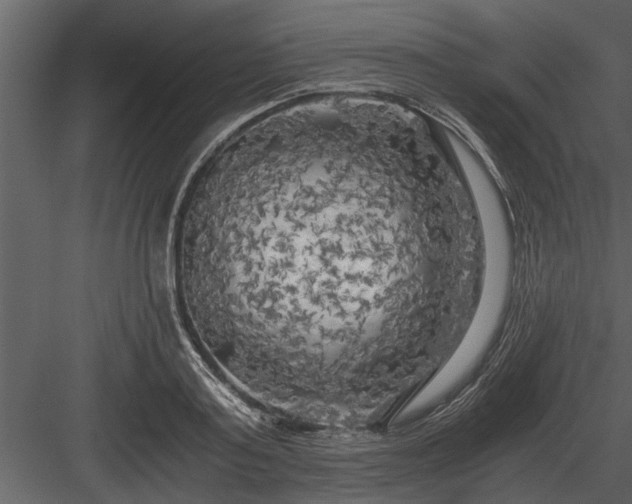 X0000084010795200702232203
