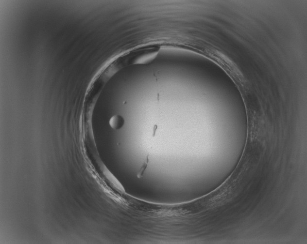 X0000084010796200702232203