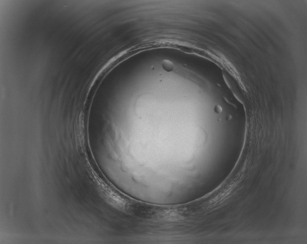 X0000084010798200702232203