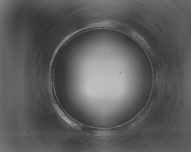 X0000084010800200702232203