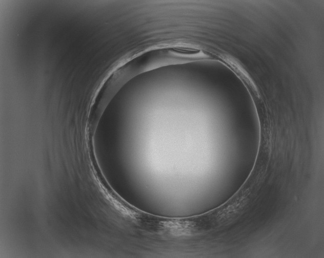 X0000084010805200702232203