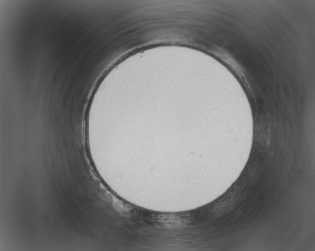 X0000084010807200702232203