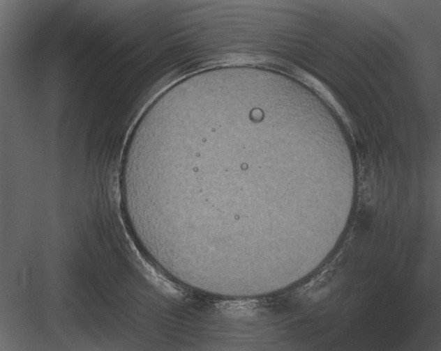 X0000084010810200702232203