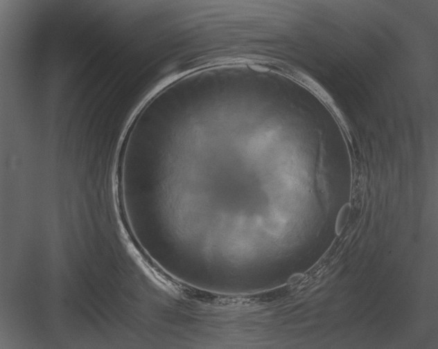 X0000084010811200702232203