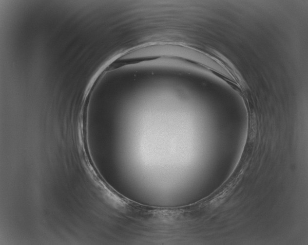 X0000084010812200702232203