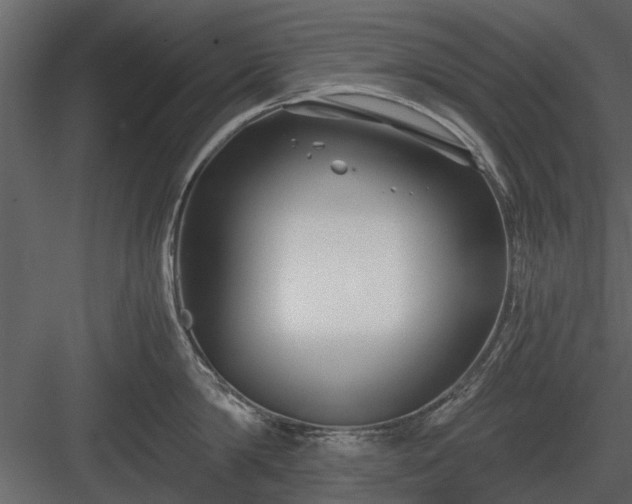 X0000084010814200702232203