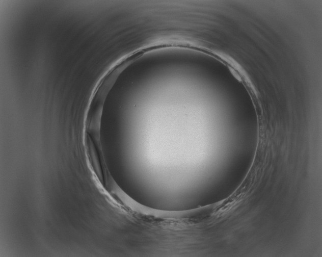 X0000084010815200702232203