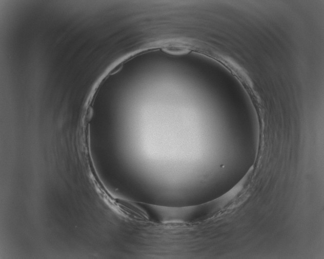 X0000084010816200702232203