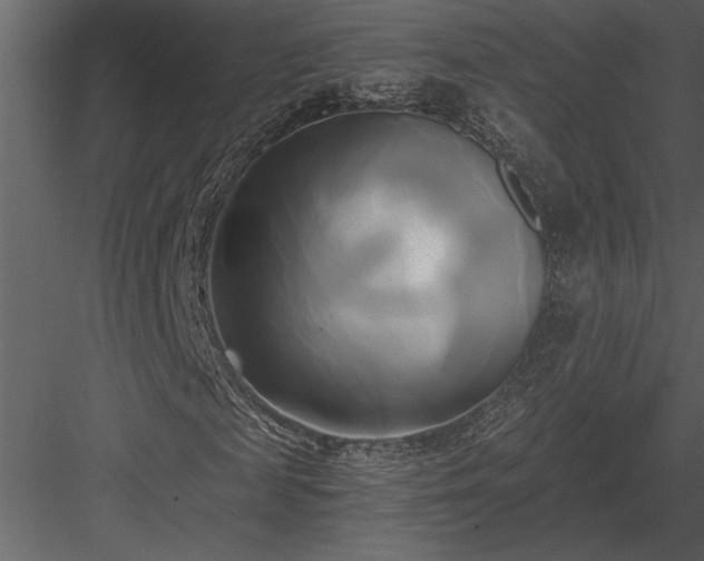 X0000084010817200702232202