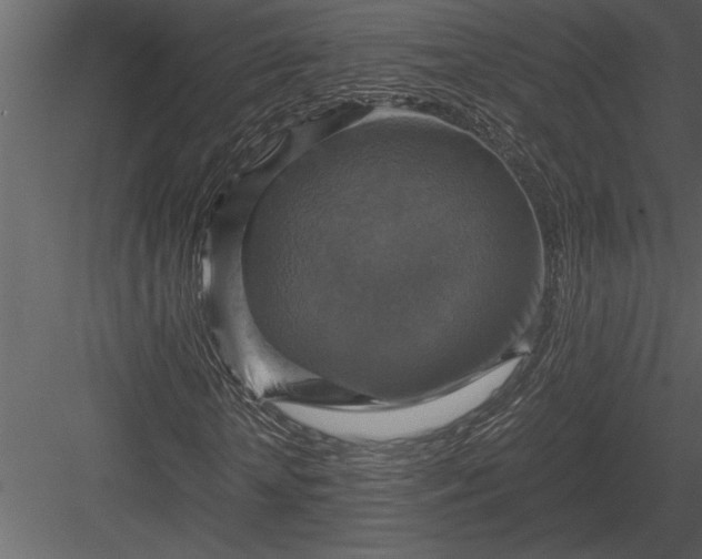 X0000084010818200702232202