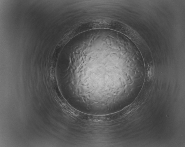 X0000084010819200702232202