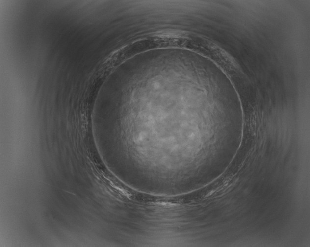 X0000084010821200702232202