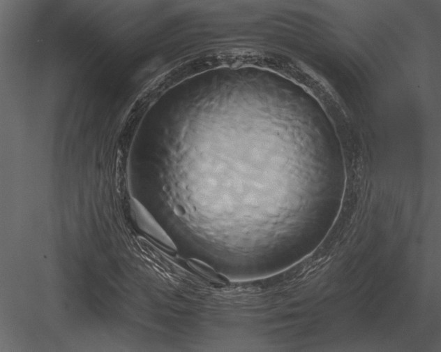 X0000084010823200702232202