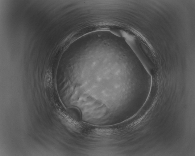 X0000084010825200702232202